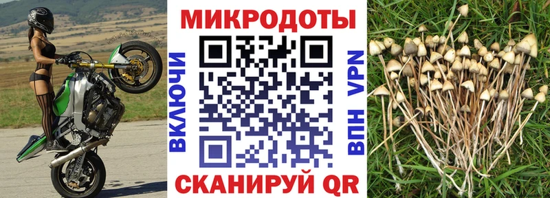мориарти наркотические препараты  Кириллов  Псилоцибиновые грибы мицелий  где найти  