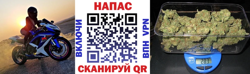 Шишки марихуана сатива  Кириллов 